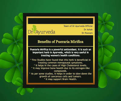 Pueraria Mirifica benefits by Dr Ayurveda Official