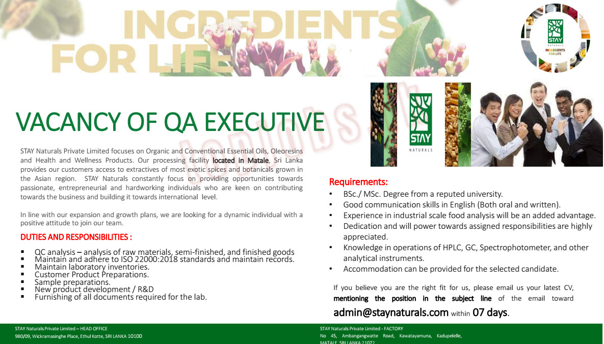 QA Executive Vacancy