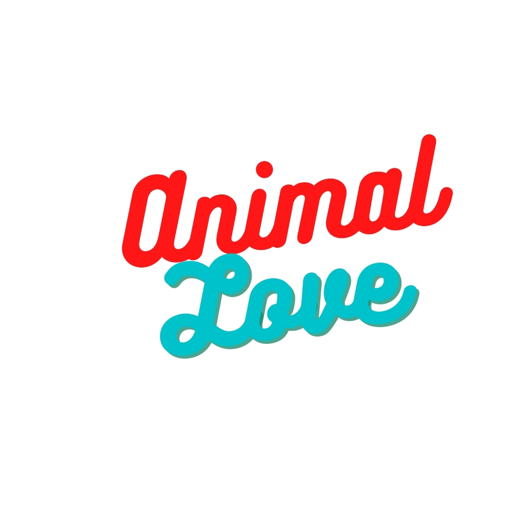 Animal love caption In Hindi