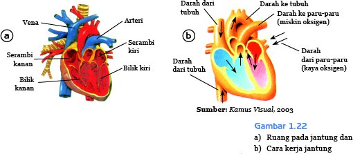 Henny fighting: SISTEM PEREDARAN DARAH