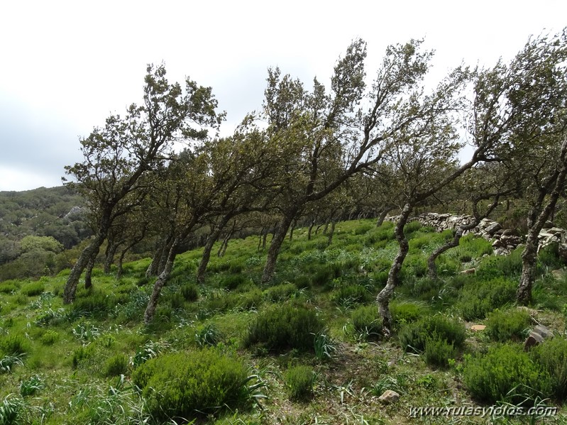 Peguera - Piedra del Padrón - Cortijo del Hato o San José de Casas Nuevas