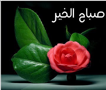 أفضل صور صباح الخير للفيسبوك و التويتر أفضل صور صباح الخير للفيسبوك و التويتر │ sit-nit.blogspot.com