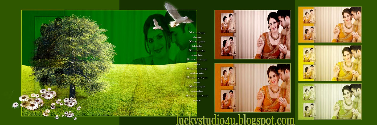 My Green Express Karizma Latest Wedding Background Psd File 12x36