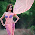 Sony Charista hot sexy saree Latest Navel Show Photoshoot Gallery