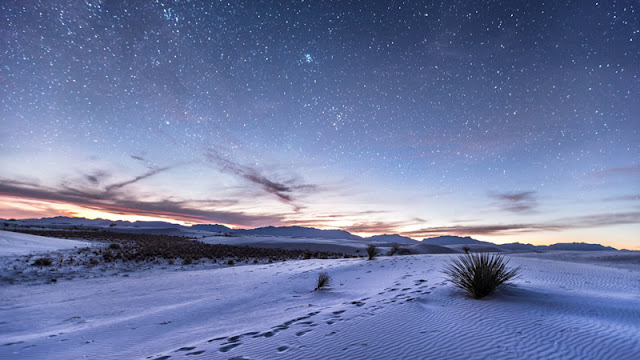 footprints in the snow at dusk