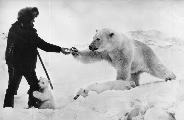 This picture was taken in 1950 during a routine military expedition in the Chukchi Peninsula, Soviet Union.