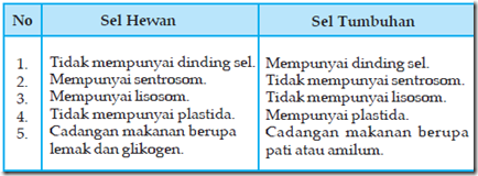 perbedaan sel hewan dan tumbuhan