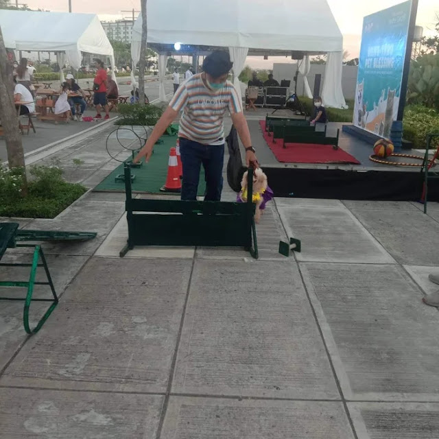 Dog Show at Pabialahay in Maple Grove By Megaworld