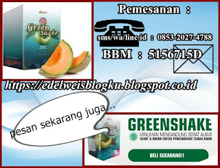 Minuman Kesehatan Green Shake Dari 4Jovem Untuk Menjaga Kesehatan Pencernaan