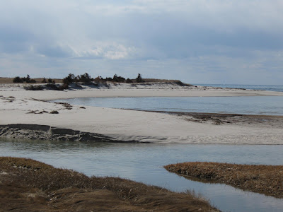 On Vacation - The Beaches of Cape Cod!