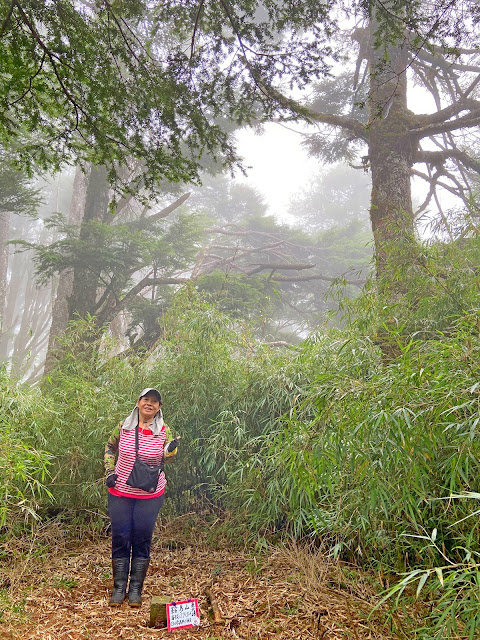 鞍馬山東北峰