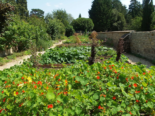 The kitchen garden at Bath Priory hotel