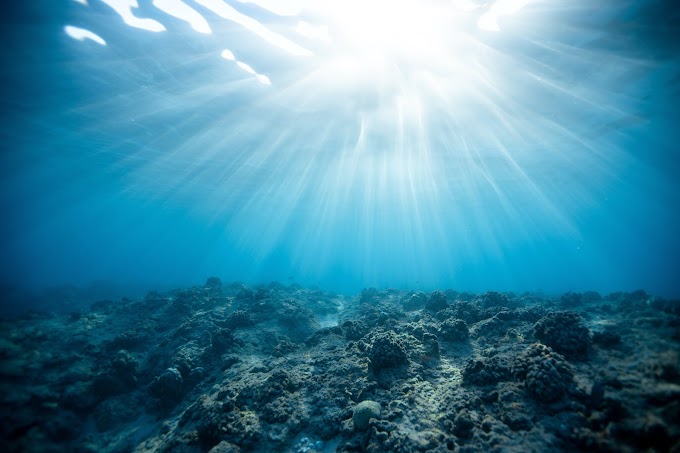 10 CURIOSIDADES SOBRE O FUNDO DO MAR