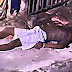 MADRUGADA DE TERÇA: homem é executado no bairro do Tororó