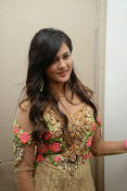 Yamaleela 2 heroine Diah Nicolas Photos-thumbnail-5