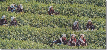 MX-3500FN_20100605_181620_001