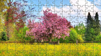 Cherry tree puzzle