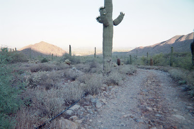 McDowell Mountain hiking trail 