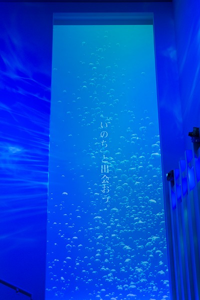 A blog from West Tokyo: Sumida Aquarium and Sky Tree.