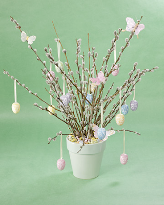 Pussy Willow arrangement by Martha Stewart