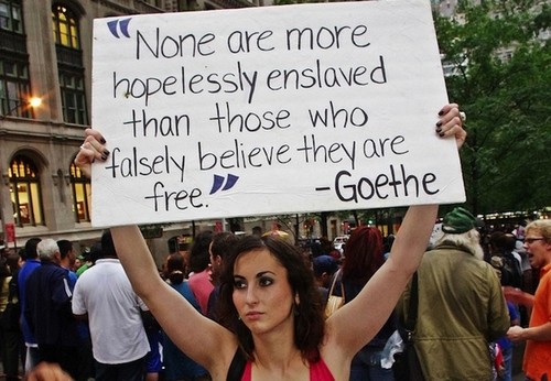 best occupy wall street signs