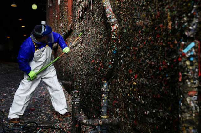 Lebih daripada satu juta keping gula getah melekat di dinding selama 20 tahun