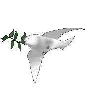 Gifs animados palomas blancas 5