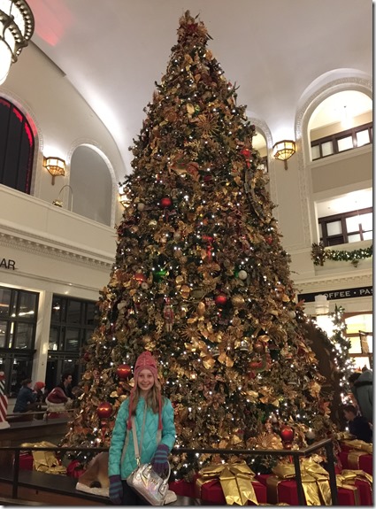 2015-12-05 17.32.34