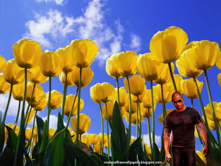 Desktop Wallpaper of Vin Diesel Wheelman the movie in Tulips Flowers Field Desktop Wallpaper