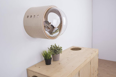 These Spaceship Cat Beds from MYZOO Will Turn Your Kitty Into A Little Space Cat