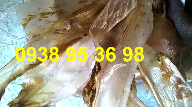 Sỉ lẻ da cá mập, da cá nhám số lượng giá tốt 0938 95 36 98  Bán khô da cá nhám rẻ nhất Sài Gòn, giá da cá mập, giá mua da cá nhám, mua da cá mập ngon và rẻ hãy liên hệ mình nhé. Sỉ lẻ da cá mập khô, khô da cá nhám ngon rẻ.  Da cá mập khô được chế biến thành nhiều món: gỏi da cá nhám, cà ri da cá mập, snack da cá mập, da cá nhám khai vị chấm nước tương,...