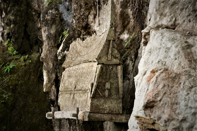 Сулавеси Маранте, подвесные гробы