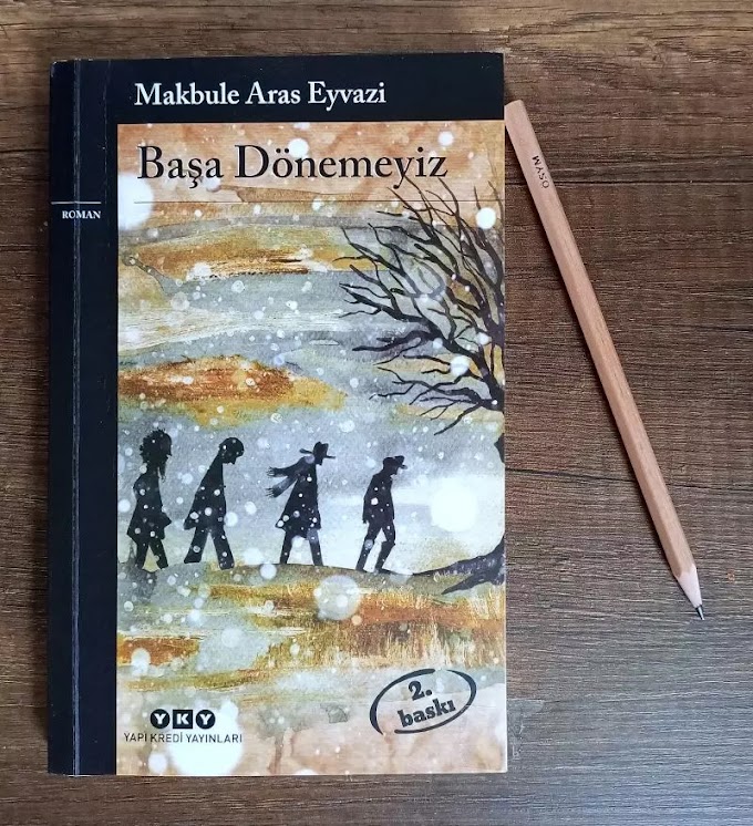 başa dönemeyiz - makbule aras eyvazi