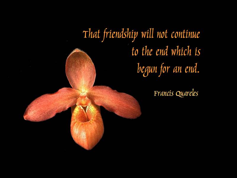 Cute Friendship Quotes, Inspiring Friends Poems, Motivational