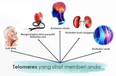 Kelebihan telomere yang sihat