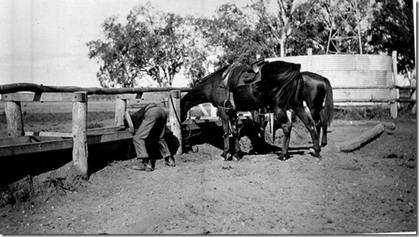 Man & horse
