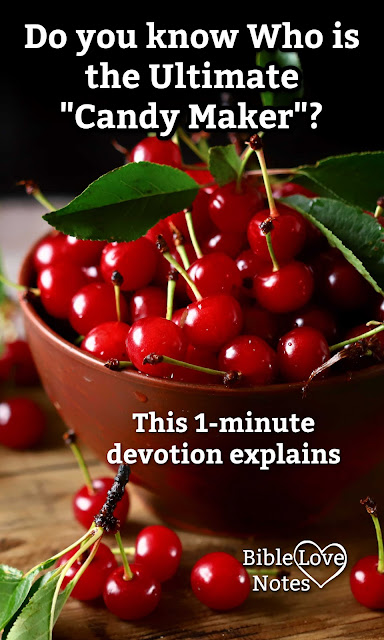 This fun devotion takes a look at God's details in creation - details that make our lives enjoyable. The humble cherry for example.