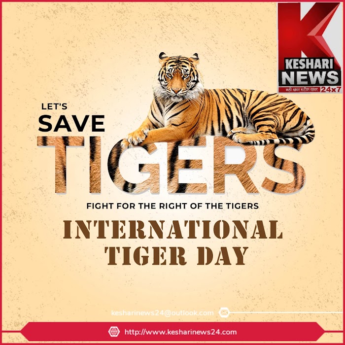 International Tiger Day : जंगल सुरक्षित तो ही बाघ संरक्षण अर्थपूर्ण 