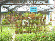 Taman Sains