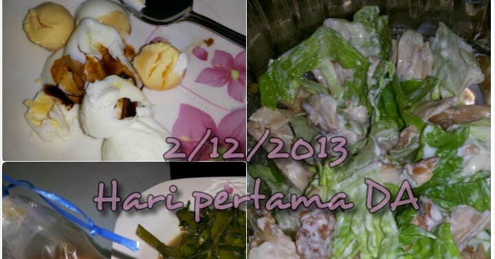 ♥Corat Coret Nusha ♥: Menu fasa induction minggu pertama 