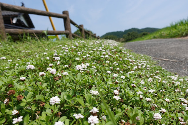 天の真名井から駐車場へ向かいます