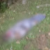 DESOVA: corpo de homem é encontrado no Saboeiro