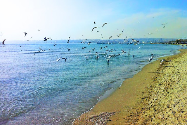 شاطئ بويوك شيكمجة بالقرب من مدينة إسطنبول