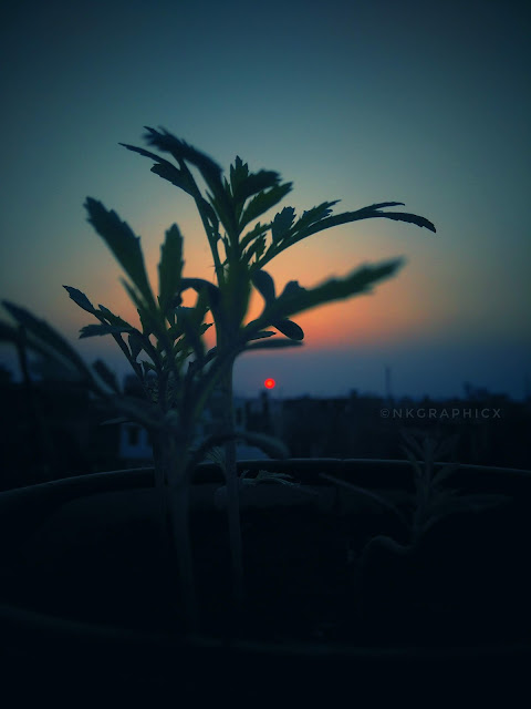 Beautiful Sunset  Winter Season Photo By NKGRAPix NKGraphicx