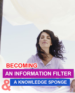 Information Filter and a Knowledge Sponge