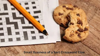 Small Business of a Sort Crossword Clue