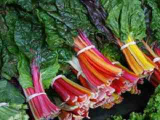 swiss chard