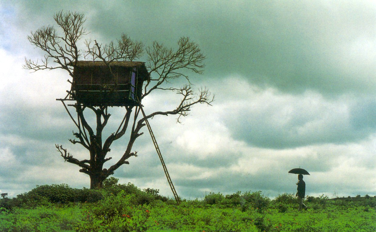 Amazing Tree House Wallpapers