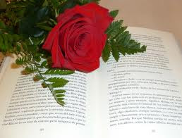 Foto de una rosa sobre un libro abierto, tradicional de Sant jordi