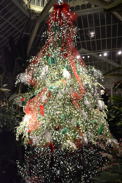 Phipps Conservatory in Pittsburgh, PA- Christmas Candlelight Tour